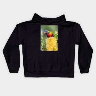 Rainbow Lorikeet on Banksia Kids Hoodie